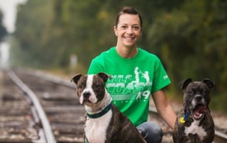 Dog trainers in St. Pete FL