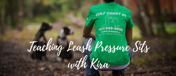 leash pressure training