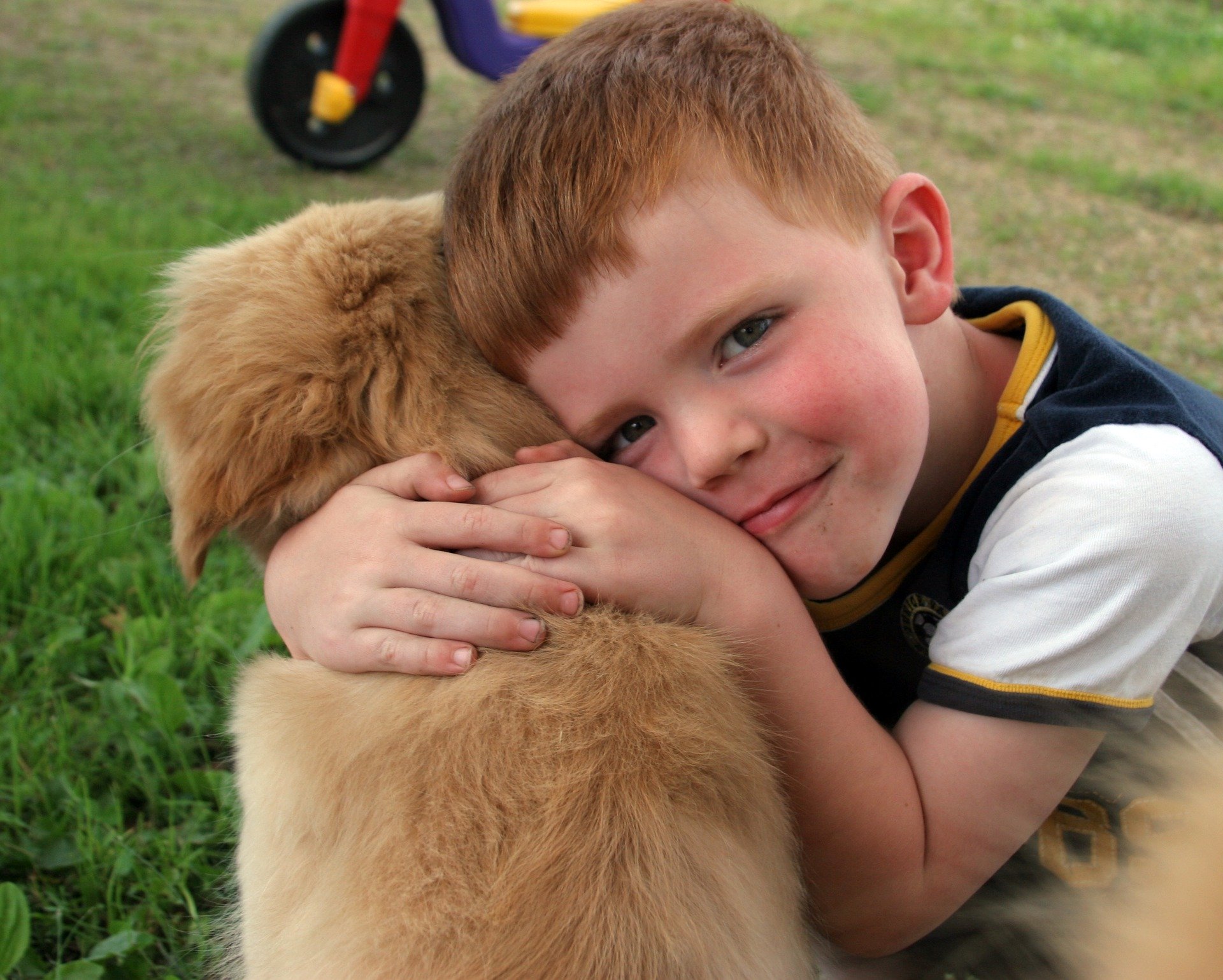 dog training classes