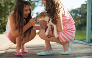 dog training enrichment tips